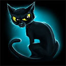 Hallowin Cat